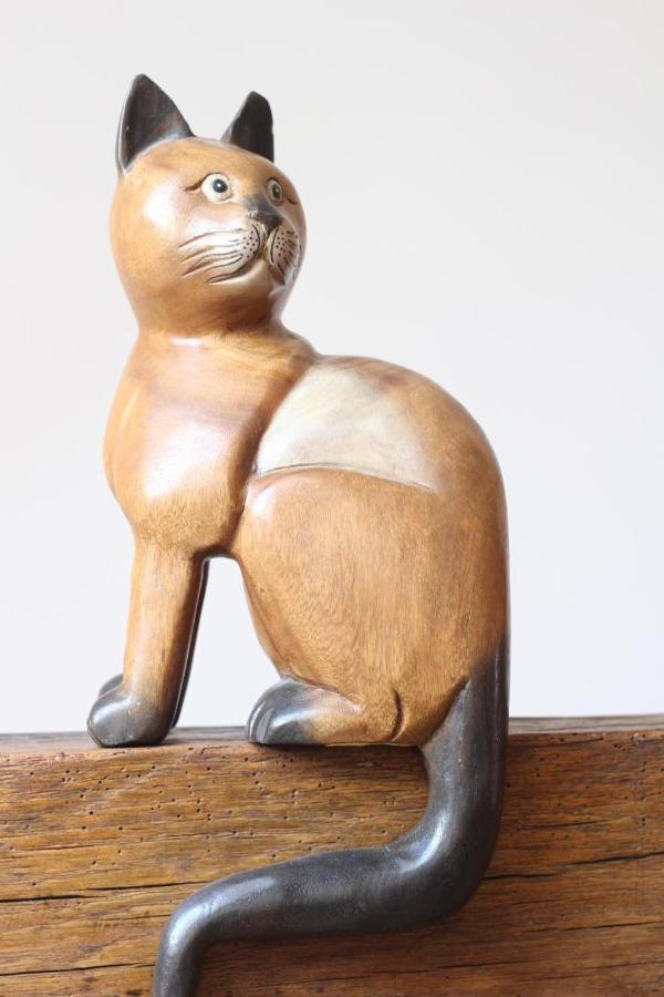 Au Coeur Du Chat Perche Arnay-le-Duc Exteriér fotografie